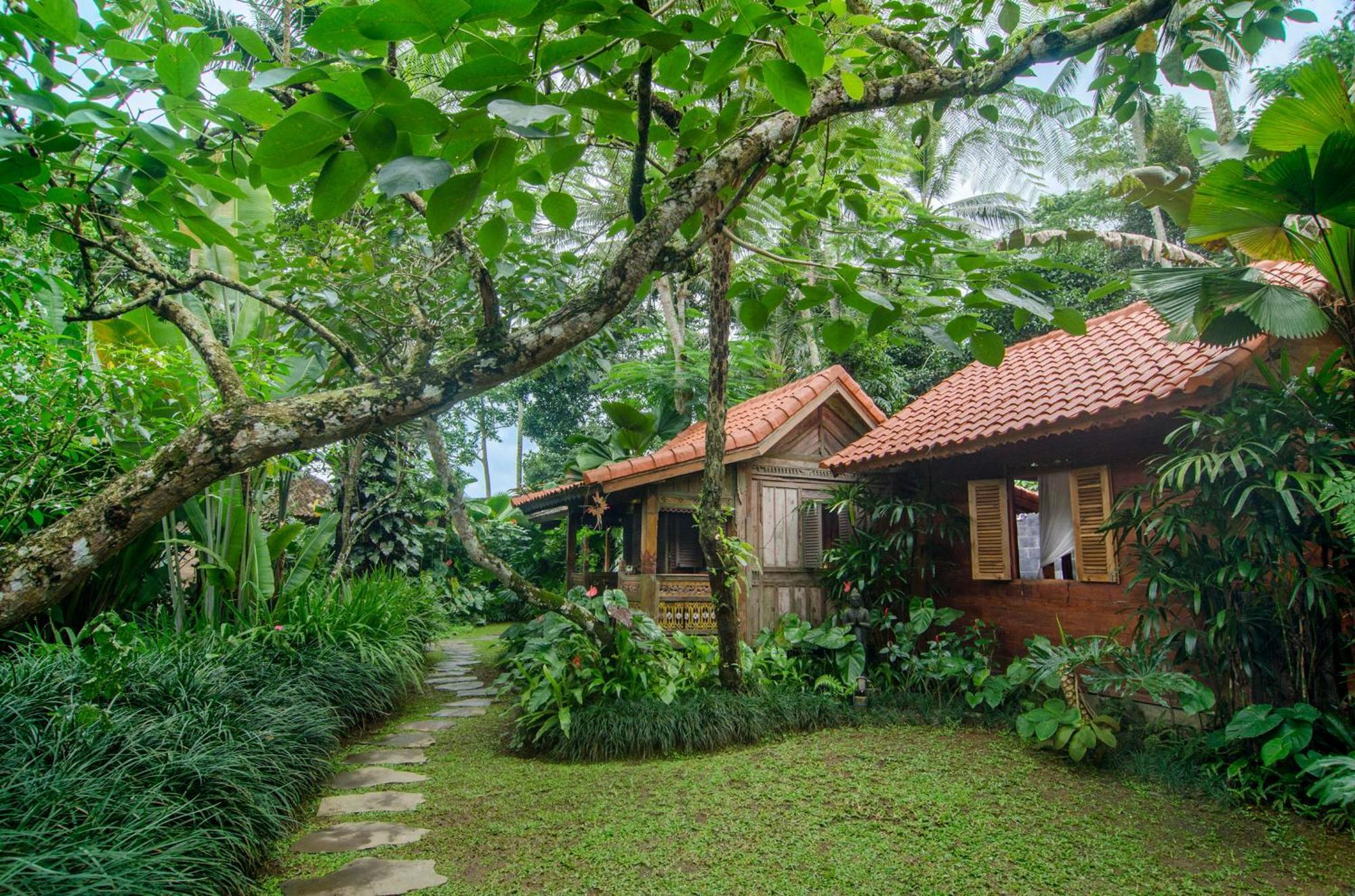 パヤンガン Dewi Tara Haven Bed & Breakfast 部屋 写真