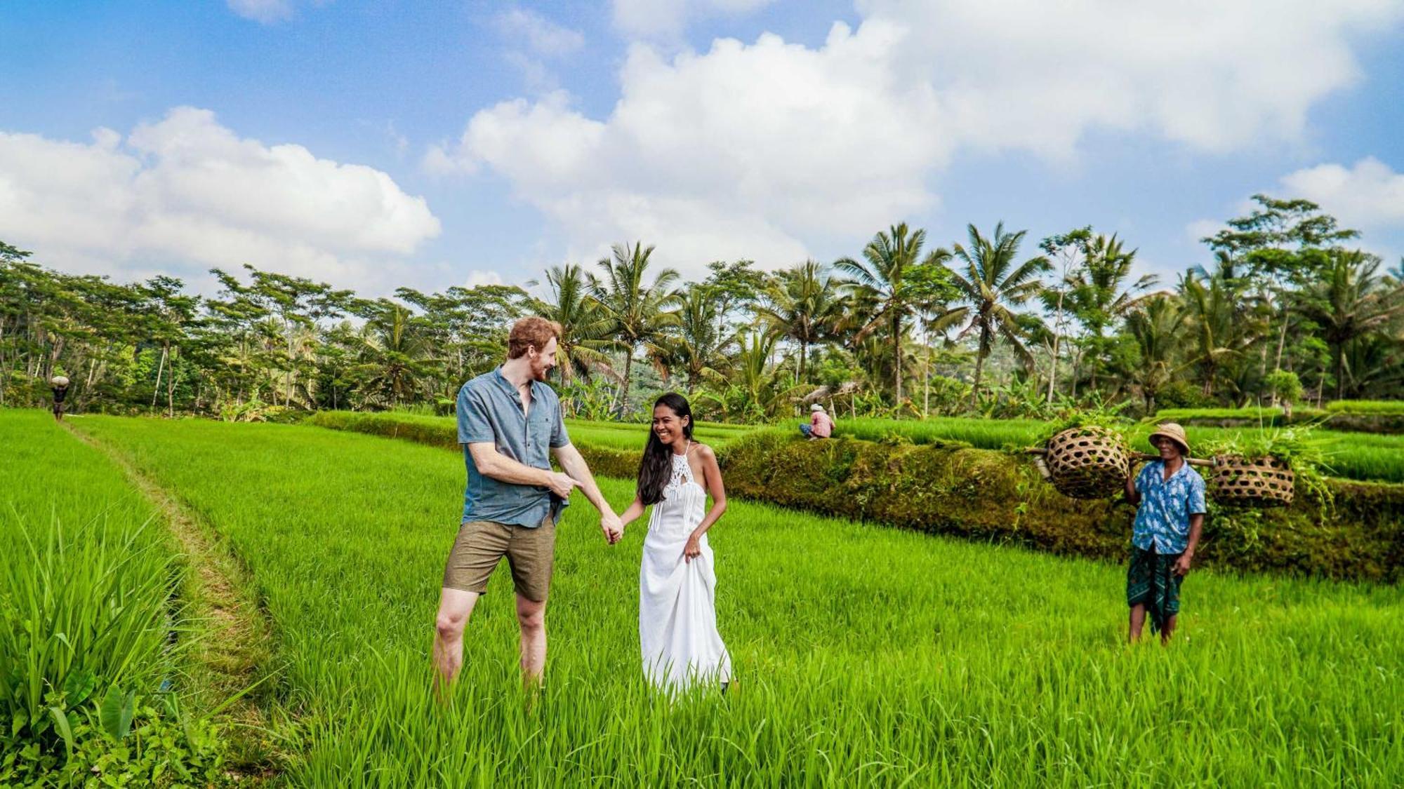パヤンガン Dewi Tara Haven Bed & Breakfast エクステリア 写真