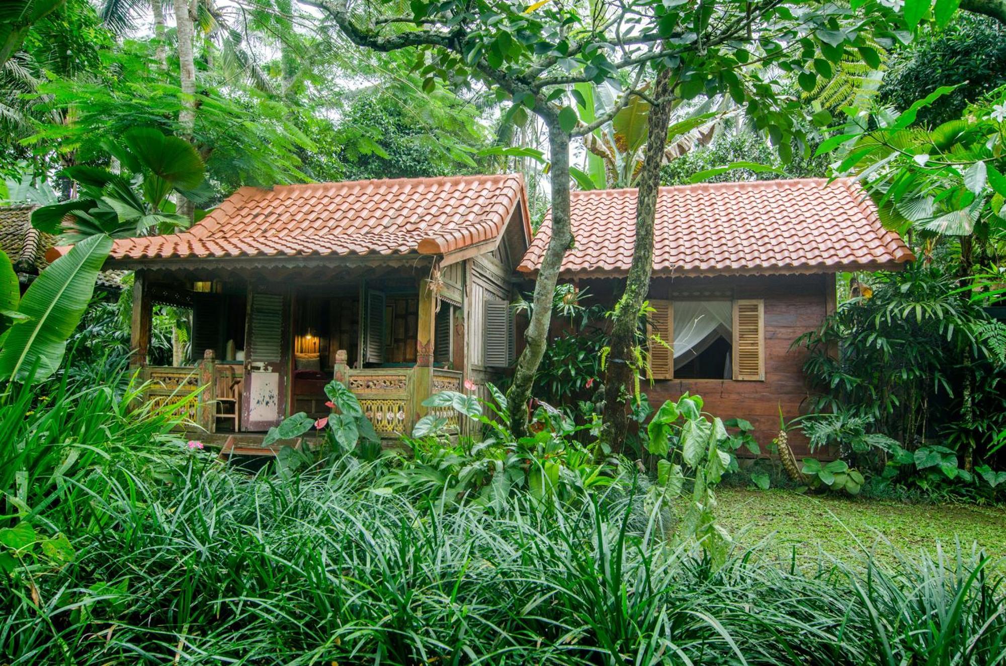 パヤンガン Dewi Tara Haven Bed & Breakfast 部屋 写真